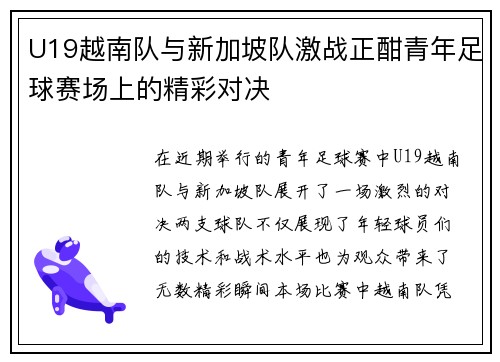 U19越南队与新加坡队激战正酣青年足球赛场上的精彩对决