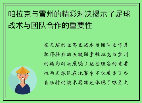 帕拉克与雪州的精彩对决揭示了足球战术与团队合作的重要性